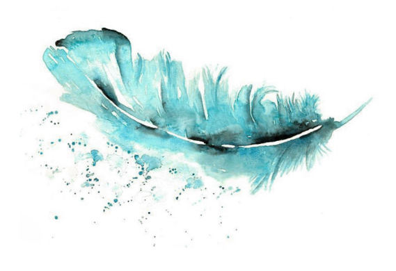 teal feather watercolor image